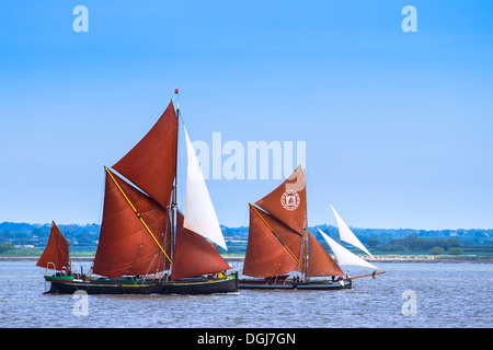 Zwei historische Themse Segeln Lastkähne auf dem Fluss Blackwater racing. Stockfoto