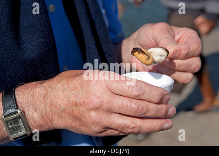 Eine Person Essen Muscheln aus dem Stall von Meeresfrüchten auf dem Kai am Wells nächsten The Sea. Stockfoto