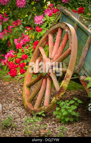 Verfallene alte bunte gebrochen Warenkorb in einem Garten umgeben von roten und rosa rhododendron Stockfoto