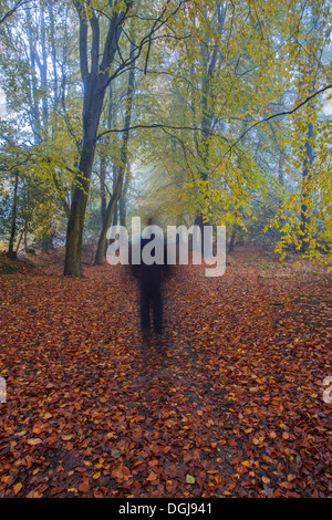 Ein Mann geht durch den herbstlichen Wald. Stockfoto