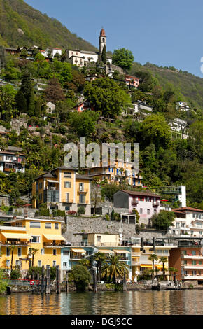 Dorf Ronco Sopra Ascona an einem steilen Berghang über dem Lago Maggiore, Tessin, Schweiz, Europa Stockfoto