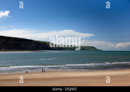 Eine Dogwalker und zwei Hunde am Strand von Barmouth. Stockfoto