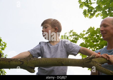 Vater und Sohn Kletterbaum Stockfoto