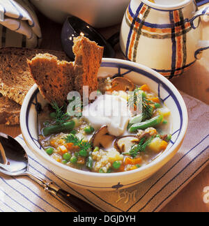 Gemüsesuppe mit Graupen, Porcino Pilze, grüne Bohnen, Karotten, Kartoffeln, Huhn Innereien, Polen Stockfoto