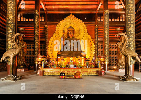 Goldene Buddha-Statue auf der Baustelle der Chua Bai Dinh Pagode, eine der größten Pagoden in Südost-Asien Stockfoto