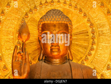 Goldene Buddha-Statue auf der Baustelle der Chua Bai Dinh Pagode, eine der größten Pagoden in Südost-Asien Stockfoto