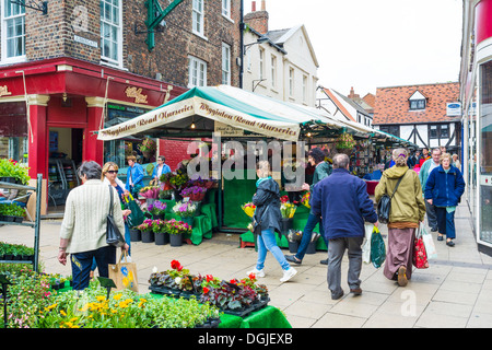 Menschen Sie kaufende und verkaufende Blumen auf Newgate Markt in York. Stockfoto