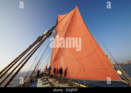 Deckhelfer arbeiten die Segel der Themse Segeln Barge, die Edith zwar kann im Wettbewerb im 2012 Medway Barge Match. Stockfoto