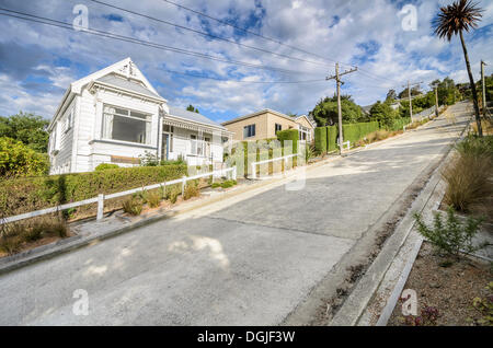Baldwin Street, die steilste Straße der Welt laut Guinness-Buch der Rekorde, Dunedin, Südinsel, Neuseeland Stockfoto