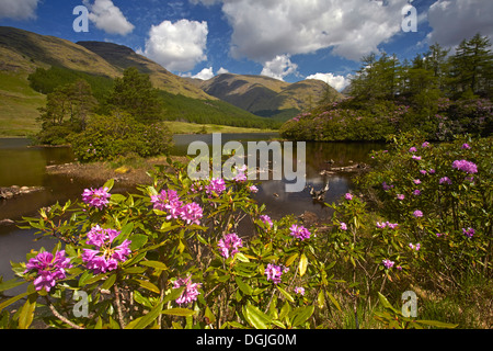 Ein Blick auf Lochan Urr in Glen Etive. Stockfoto