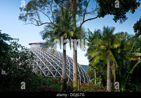 Die tropischen Display Kuppel an der Brisbane Botanic Gardens in Queensland. Stockfoto