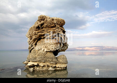 Salz-Skulptur, Totes Meer, Westjordanland, Israel, Nahost Stockfoto