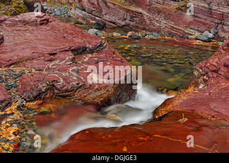 Tonschiefer mineralischen Sedimentschichten in Lost Horse Creek Waterton Lakes National Park in Alberta Kanada Stockfoto