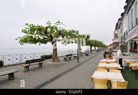 Promenade in den frühen Morgenstunden, Meersburg am Bodensee, Baden-Württemberg Stockfoto