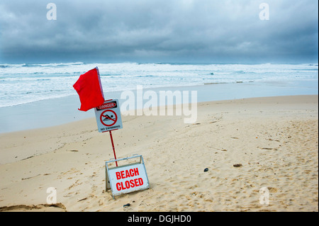 Eine rote Warnung Flagge auf Coolum Beach in Queensland. Stockfoto