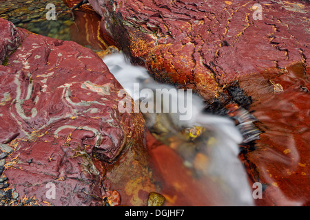 Tonschiefer mineralischen Sedimentschichten in Lost Horse Creek Waterton Lakes National Park in Alberta Kanada Stockfoto