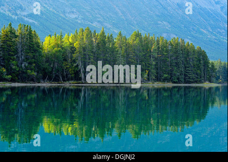 Wälder mit Herbstlaub entlang der Chilko River Chilcotin Wildnis British Columbia Kanada Stockfoto