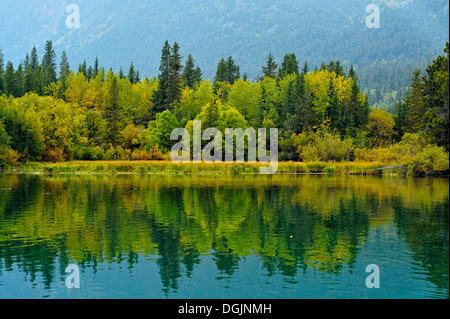 Wälder mit Herbstlaub entlang der Chilko River Chilcotin Wildnis British Columbia Kanada Stockfoto