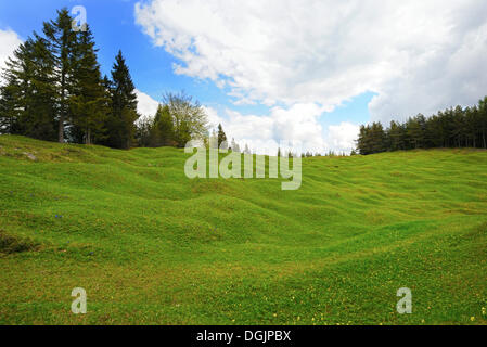 Buckel Wiesen am Kranzberg, Karwendelgebirge, Mittenwald, Werdenfelser Land, Oberbayern, Bayern Stockfoto