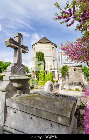 Friedhof Montparnasse, Paris, Frankreich Stockfoto