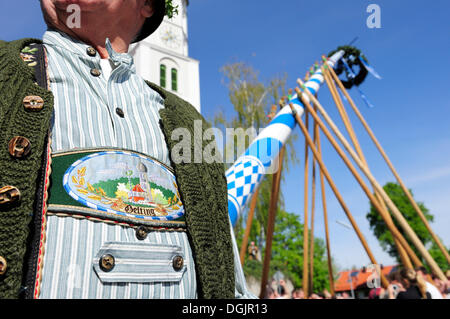 Anhebung den Maibaum in Gelting, Landkreis Bad Tölz-Wolfratshausen County, Bayern, Oberbayern Stockfoto