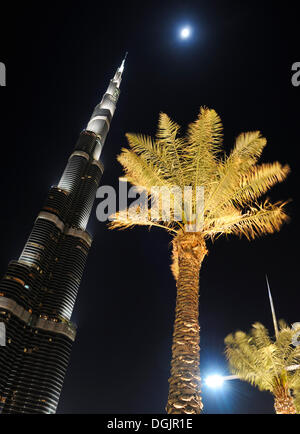 Burj Khalifa mit 828m Höhe der höchste Turm der Welt und die Palmen in der Nacht, Dubai Business Bay, Downtown Dubai Stockfoto