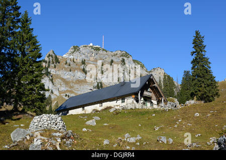 Almen im Bereich von Wendelstein, Wendelstein in der Nähe von Bayrischzell, Mangfall Berge, Bayern, Oberbayern Stockfoto