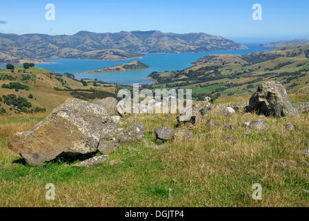 Blick in Richtung Akaroa Head und Akaroa Harbour von den Pionieren der Halbinsel Trail, Banks Peninsula in Christchurch Stockfoto