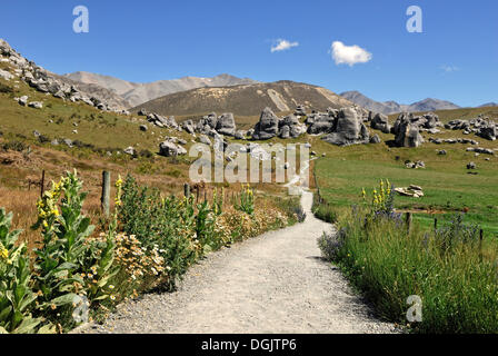 Fußweg zum Burgberg Kalkstein Felsen, Kura Tawhiti Conservation Area, Selwyn Bezirk, Südinsel, Neuseeland Stockfoto