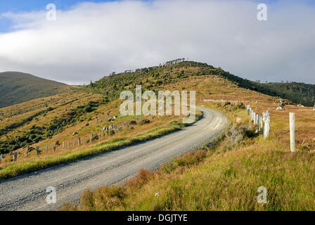 Gipfel-Straße von Little River nach Port Levy, Banks Peninsula, Christchurch, Südinsel, Neuseeland Stockfoto
