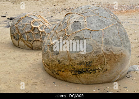 Stein Kugeln am Strand bei Ebbe, geologische Formation der Moeraki Boulders, Moeraki, East Coast, Südinsel Stockfoto