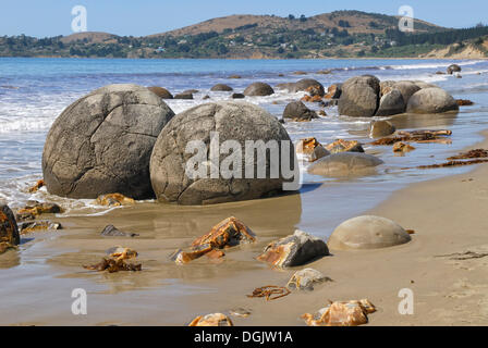 Felsen an einem Sandstrand, Moeraki Boulders, einer geologischen Felsformation, Moeraki, East Coast, Südinsel, Neuseeland Stockfoto