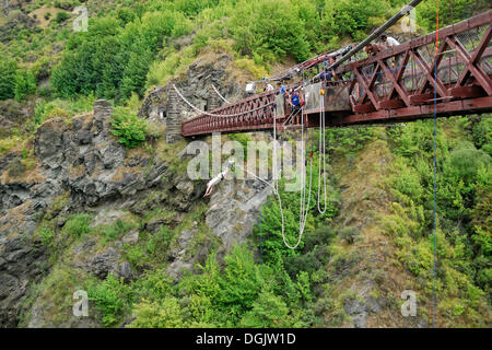 Bungee-Jumping auf der historischen Hängebrücke über der Kawarau River, Arrowtown, Südinsel, Neuseeland Stockfoto