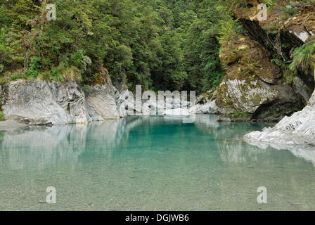 Blau-Pools bei Makarora, Highway 6, Südinsel, Neuseeland Stockfoto