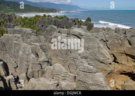 Pancake Rocks, Paparoa Nationalpark, Westküste, Tasmansee, Südinsel, Neuseeland Stockfoto