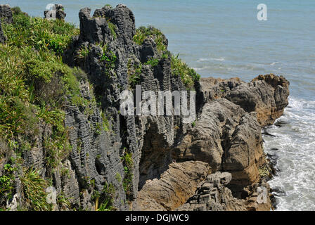 Pancake Rocks, Paparoa Nationalpark, Westküste, Tasmansee, Südinsel Stockfoto