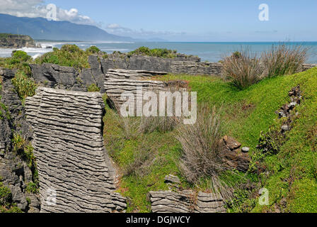 Pancake Rocks, Paparoa National Park, West Coast, Südinsel, Neuseeland, Tasmanische See Stockfoto