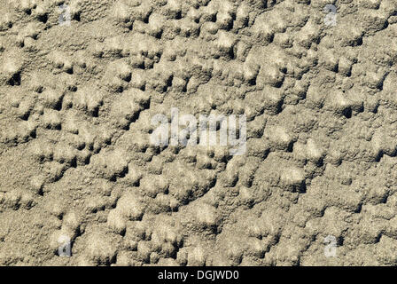 Sand-Struktur, Farewell Spit Nature Reserve, Golden Bay, Südinsel, Neuseeland Stockfoto