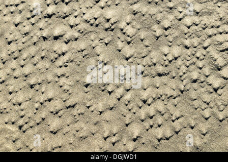 Sand-Struktur, Farewell Spit Nature Reserve, Golden Bay, Südinsel, Neuseeland Stockfoto