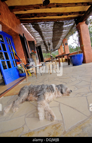 Buddha Haus, das Haus ein Fasten und schönen Ruhestand in den Bergen von San Juan, Ibiza, Spanien Stockfoto