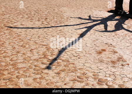 Ein Schatten auf trocken, rissig Schlamm im Deadvlei, Namibia Stockfoto