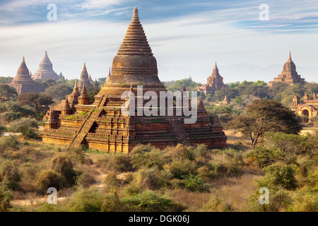 Die Tempel und Pagoden von Bagan in Myanmar in den frühen Morgenstunden. Stockfoto