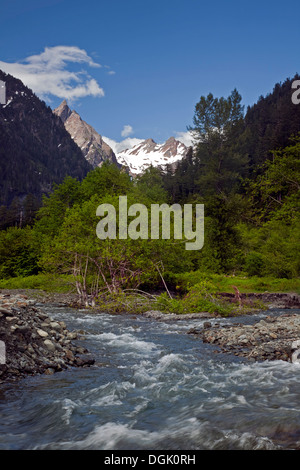 WASHINGTON - Die Quinault River in Enchanted Tales mit vergletscherten Mount Anderson in der Ferne in Olympic Nationalpark. Stockfoto