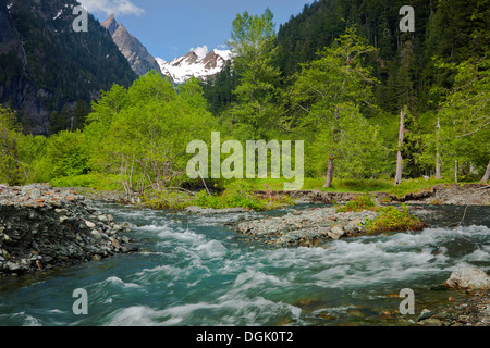 WASHINGTON - Die Quinault River in Enchanted Tales mit vergletscherten Mount Anderson in der Ferne in Olympic Nationalpark. Stockfoto