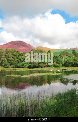 Bowdenmoor oder Bowden Moor Reservoir & Eildon Hills, Bowden, Grenzen County, Schottland, UK Stockfoto