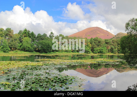 Bowdenmoor oder Bowden Moor Reservoir & Eildon Hills, Bowden, Grenzen County, Schottland, UK Stockfoto