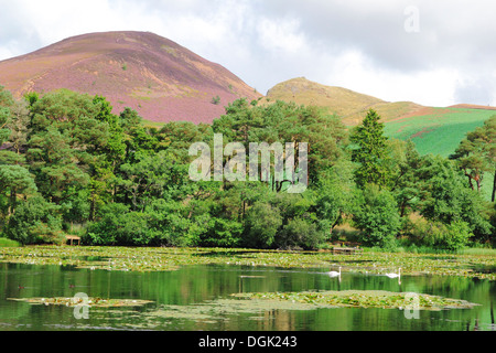 Bowdenmoor oder Bowden Moor Reservoir & Eildon Hills, Bowden, Grenzen County, Schottland, UK Stockfoto