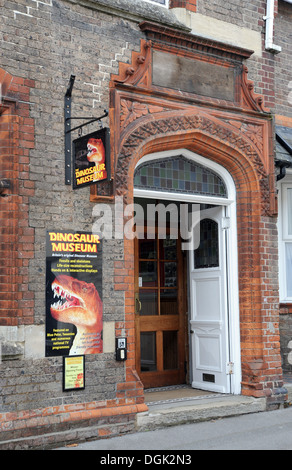 Sauriermuseum Dorchester Dorset Wessex UK Stockfoto