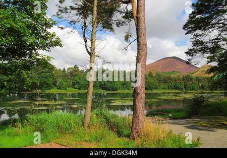 Bowdenmoor oder Bowden Moor Reservoir & Eildon Hills, Bowden, Grenzen County, Schottland, UK Stockfoto