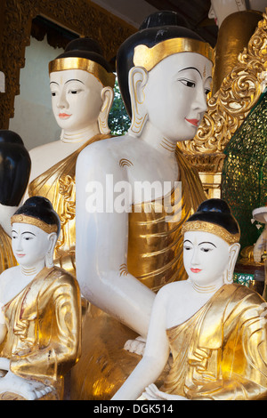 Viele Buddhas in der Shwedagon-Tempel-Komplex in Yangon in Myanmar. Stockfoto